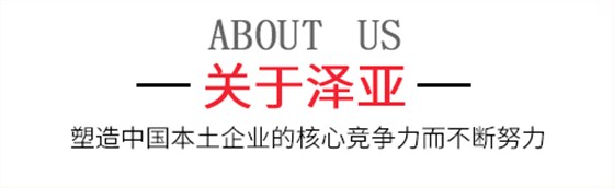 關(guān)于澤亞