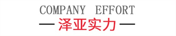 澤亞實力