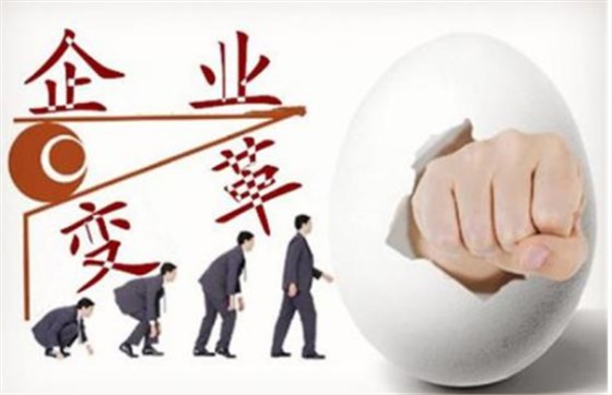 澤亞咨詢之萍鄉(xiāng)廣嶸管理變革總結(jié)報(bào)告 ——廠長的變革自白