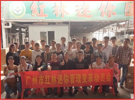 澤亞咨詢之熱烈祝賀廣州紅林迷你園藝咨詢項(xiàng)目啟動(dòng)